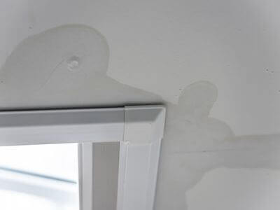 About Bryant Black Mold Removal - black mold removal experts in Bryant